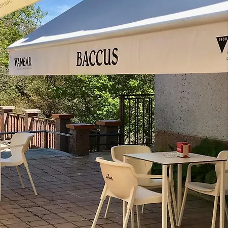 Baccus O Carballiño